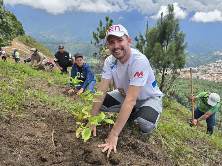 Alcalde Nelson Álvarez impulsa jornada de reforestación en el Cerro Las Letras
