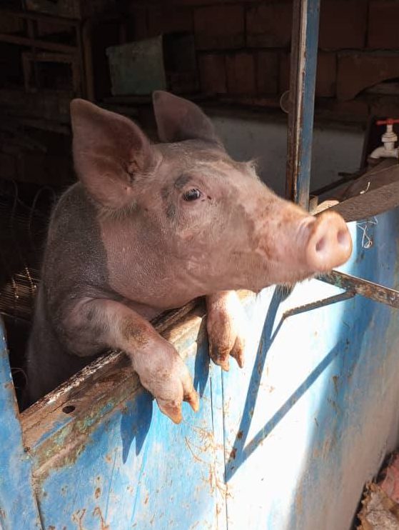 Nelson Álvarez encamina gestión hacia una Ciudad Más Sostenible y Participativa