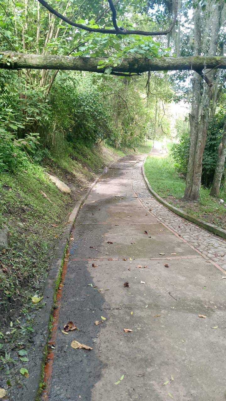 Avanza recuperación del Parque Albarregas como un compromiso ambiental