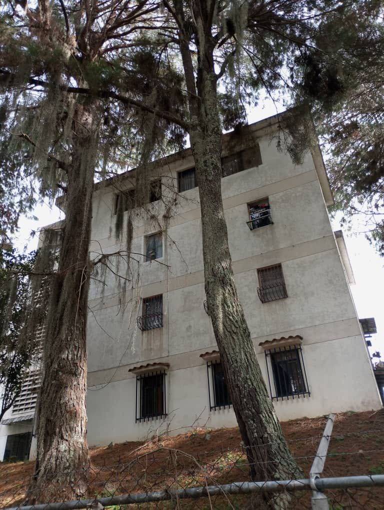 Gestión municipal fortalece acciones ecológicas