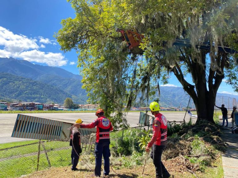 Rehabilitada la cerca perimetral del Aeropuerto Alberto Carnevalli