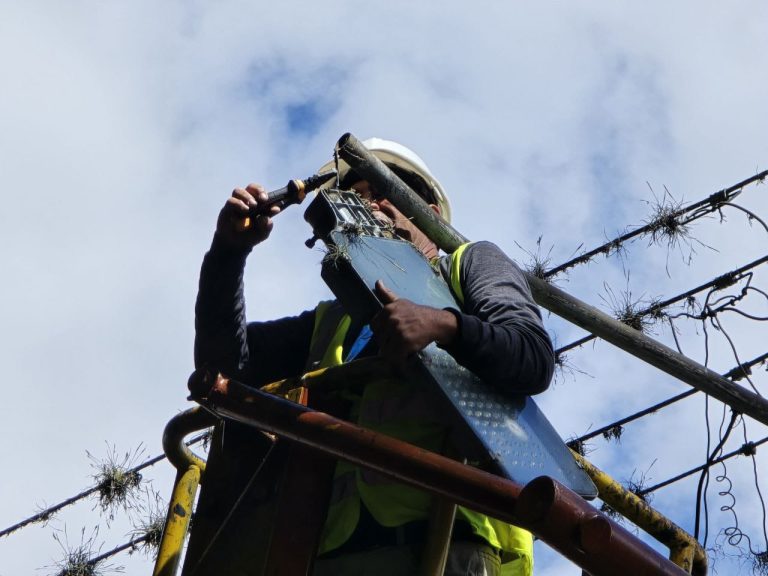 Alcalde Nelson Álvarez intensifica Plan de alumbrado en el municipio Libertador