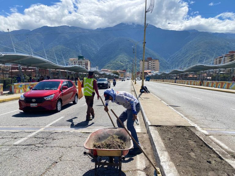 Embellecimiento del Viaducto Campo Elías