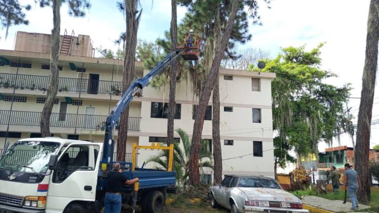 Alcaldía de Mérida realiza operativo de poda de árboles en Residencias Santa Mónica