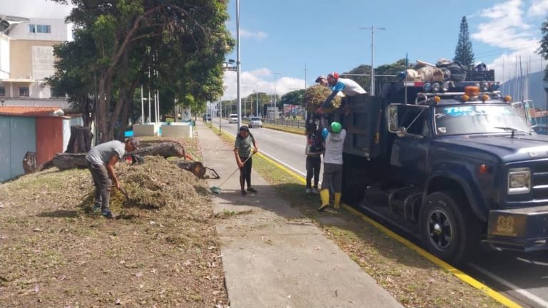Alcalde Nelson Álvarez intensifica operativos de limpieza y mantenimiento en Avenida Los Próceres