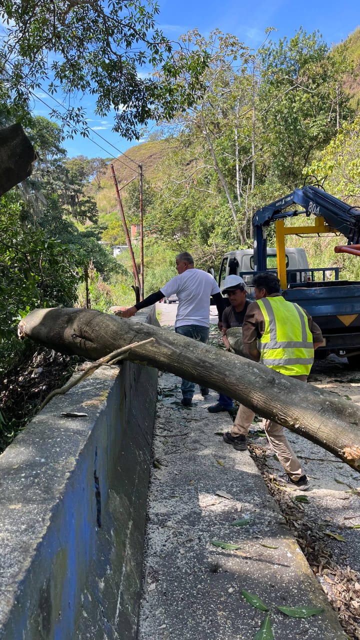 Alcalde Nelson Álvarez desplegó un operativo integral en la Cuesta de Chama