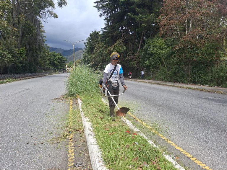 ​Alcalde Nelson Álvarez intensifica plan de embellecimiento en el municipio Libertador