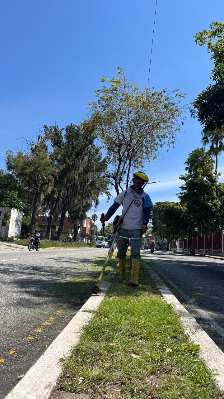 Alcalde Nelson Álvarez intensifica plan de limpieza y desmalezamiento en las principales avenidas de Mérida