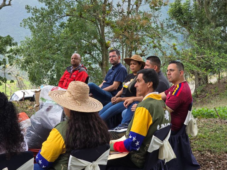 Producir es vencer: Mérida rumbo a ser potencia en café de especialidad