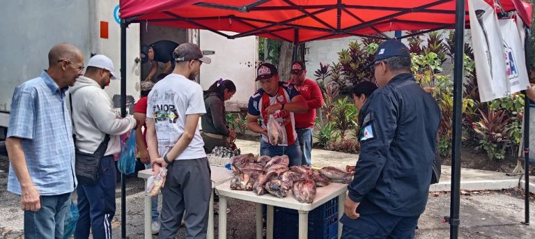 Alcaldía de Mérida realizó Gran Jornada Especial de Pescado Fresco