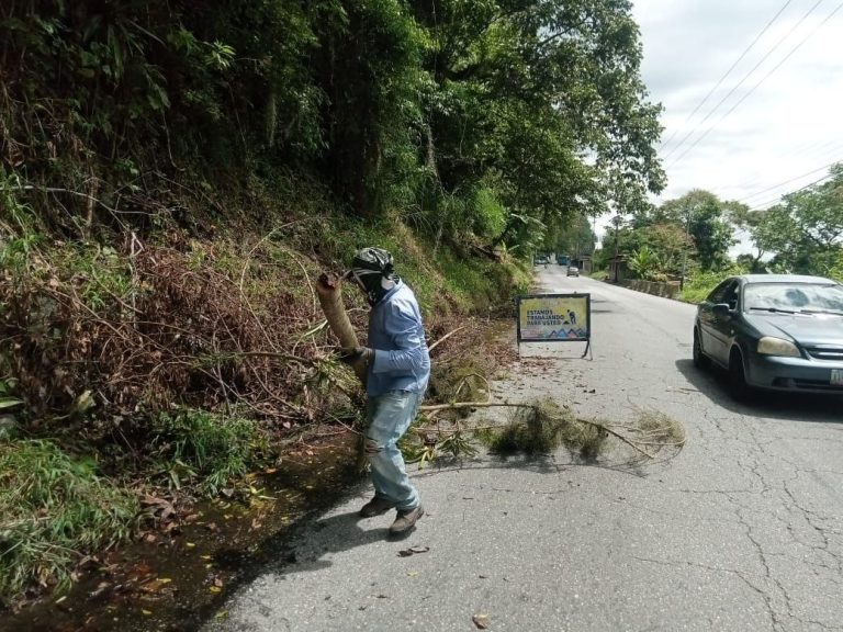 La Alcaldía de Mérida despliega un plan de limpieza integral en sectores estratégicos de la ciudad