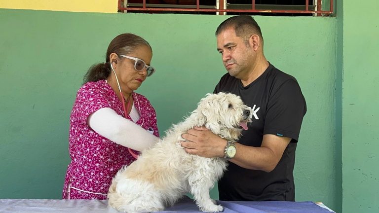 Atención integral para mascotas en la Comuna Brisas del Alba