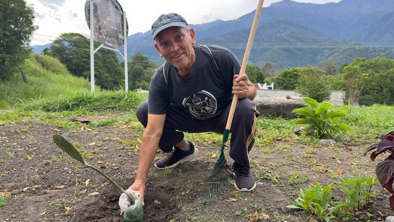 Jornada de reforestación transforma los espacios del Parque Albarregas