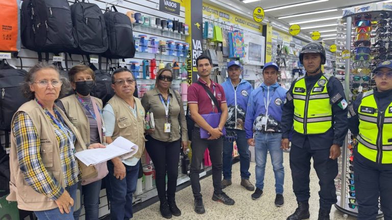 Alcaldía de Libertador inspecciona establecimientos para evitar contaminación sónica