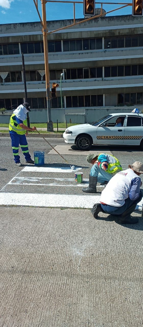 Alcaldía de Mérida intensifica trabajos de demarcación integral en la avenida Andrés Bello