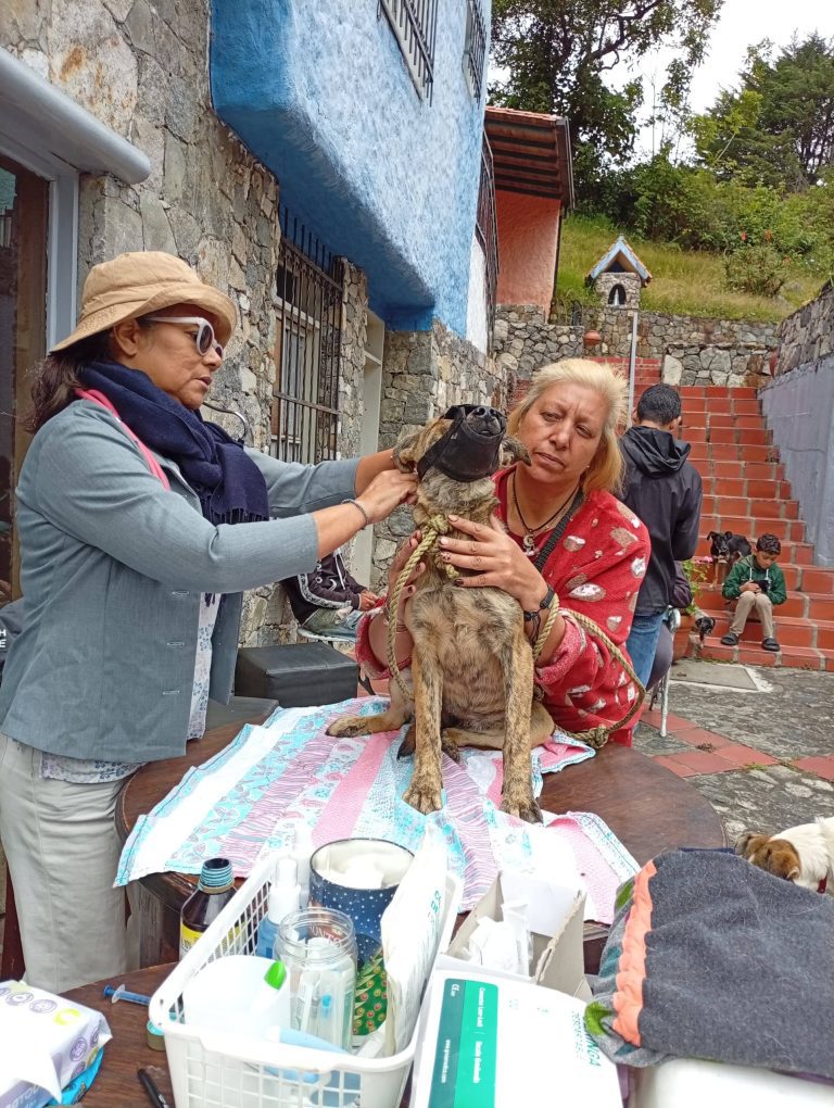 Alcaldía de Mérida realizó jornada integral veterinaria
