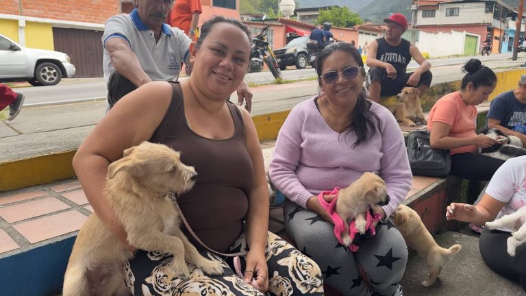 Atención veterinaria gratuita llegó a la comunidad de la parroquia Osuna Rodríguez