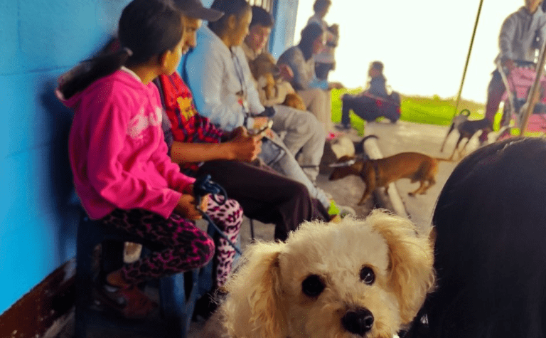 Jornada integral de atención animal se desplegó en El Valle