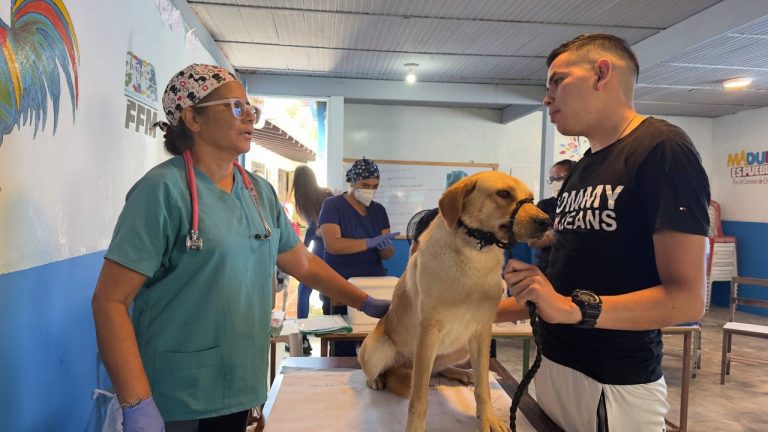 Jornada integral de salud animal llega a las comunidades de Las Mesitas