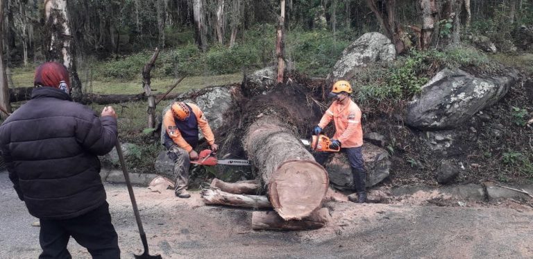 Organismos de seguridad y prevención atienden emergencias por lluvias