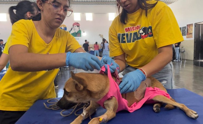 Mérida se une al Castralat con jornada masiva de esterilización de mascotas