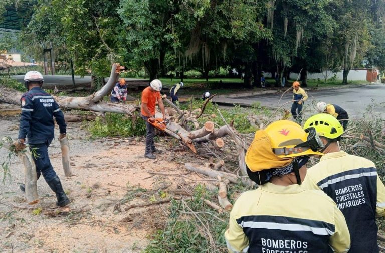 PC removió árbol caído en Las Delias